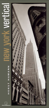книга New York Vertical (small format), автор: Horst Hamann